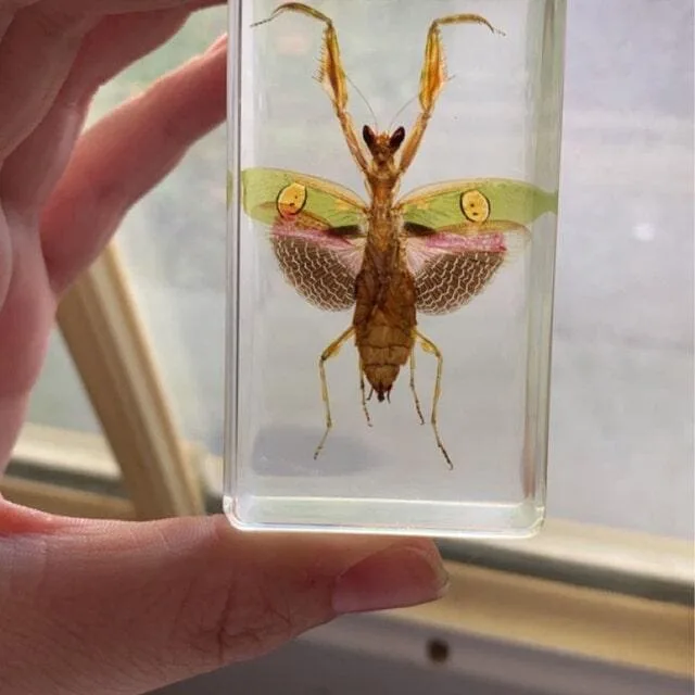 Image #1 from Jennifer Sanders