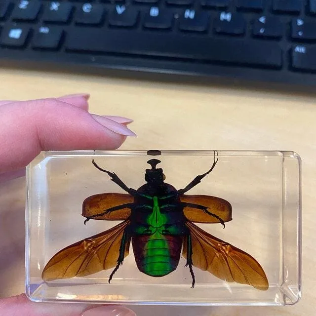 Image #1 from Emily Eiden