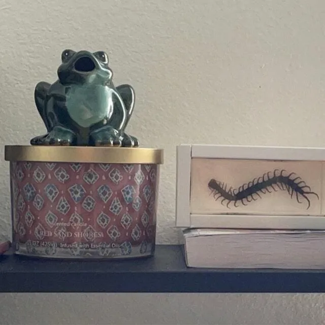 Image #1 from leslie rodriguez