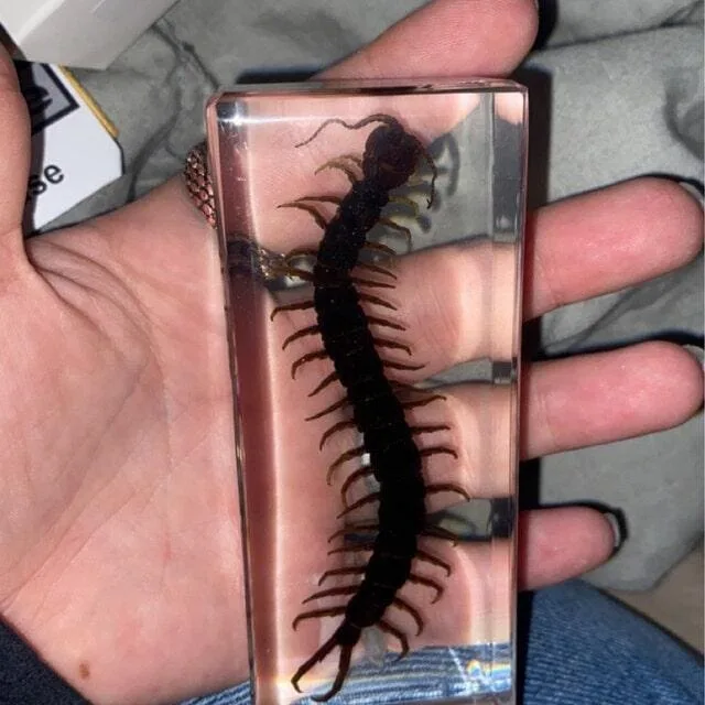 Image #1 from madelyn