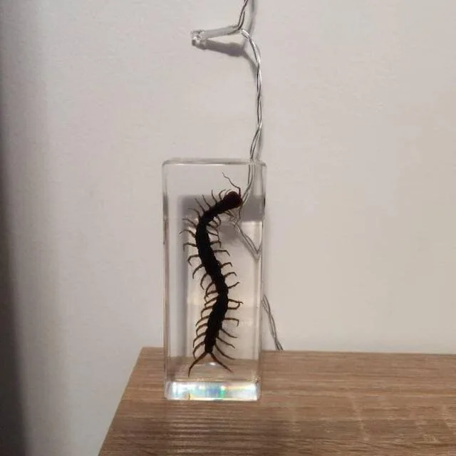 Image #1 from Melissa Sarabando