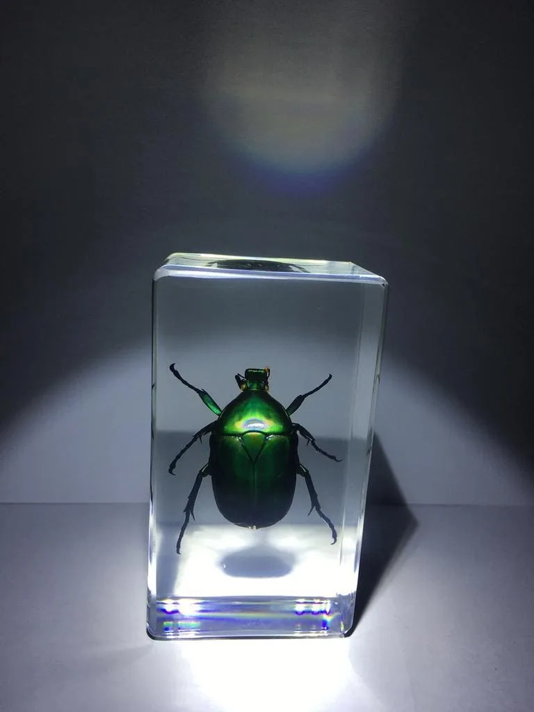 Image #1 from Drew R