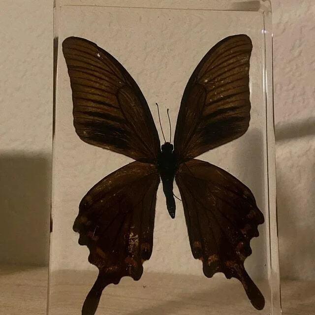 Image #1 from Rachel Salgado