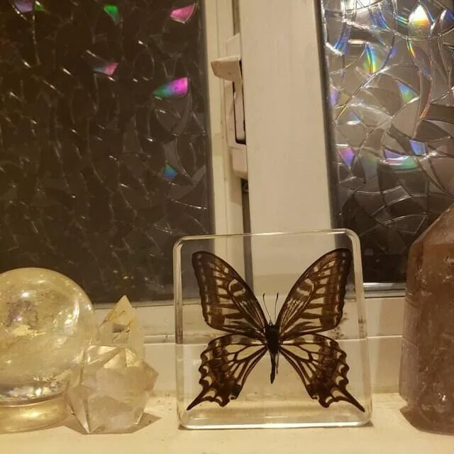 Image #1 from Ivy Eastin