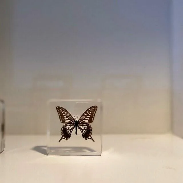 Image #1 from Sarah Burke