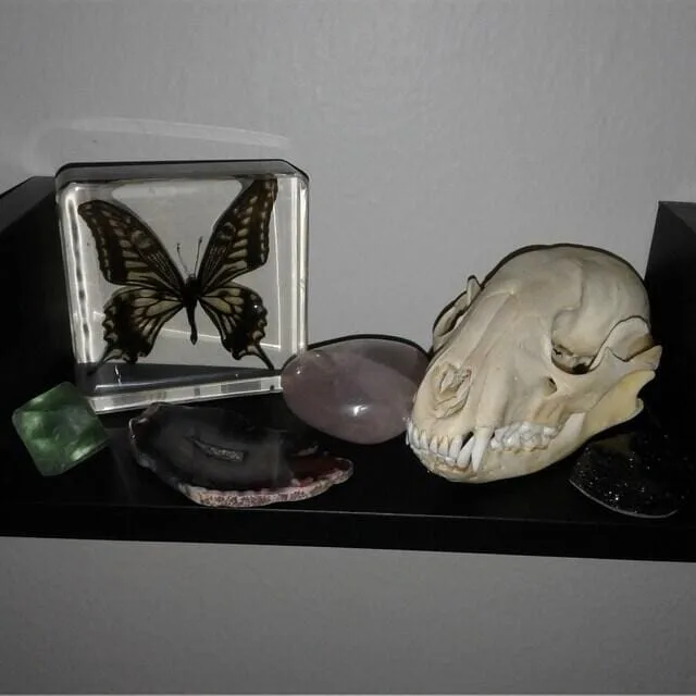 Image #1 from CassKwit