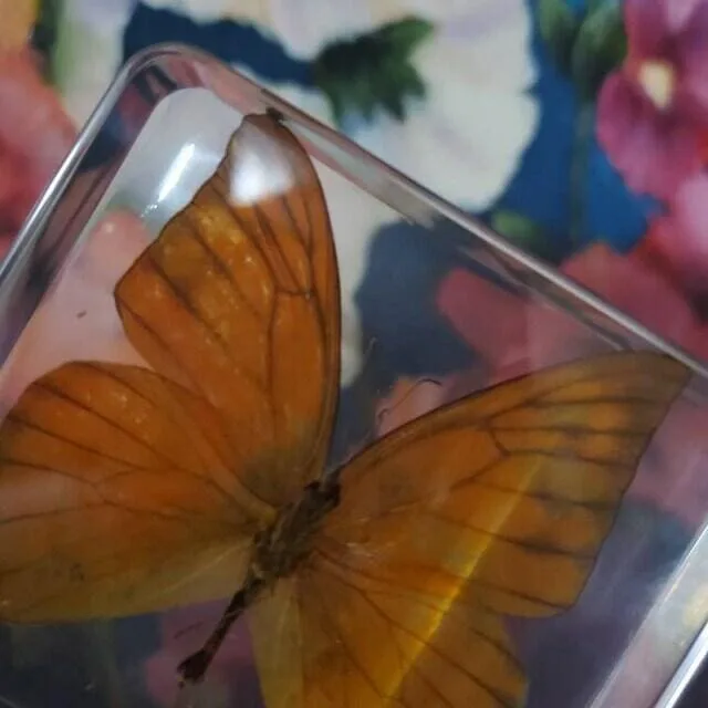 Image #1 from Jonathan Gene