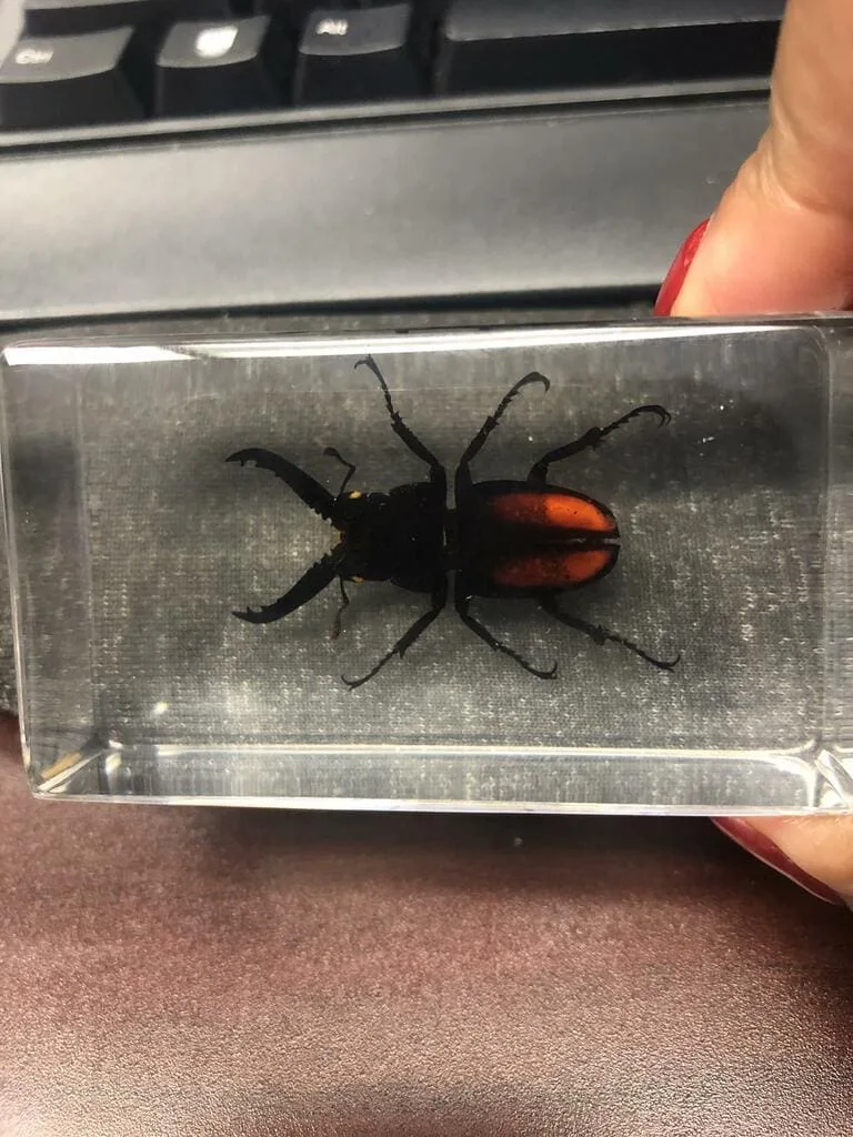 Image #1 from Keesha Lewis