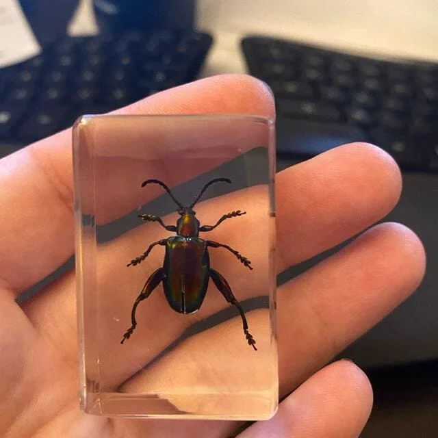 Image #1 from Dale Gagne