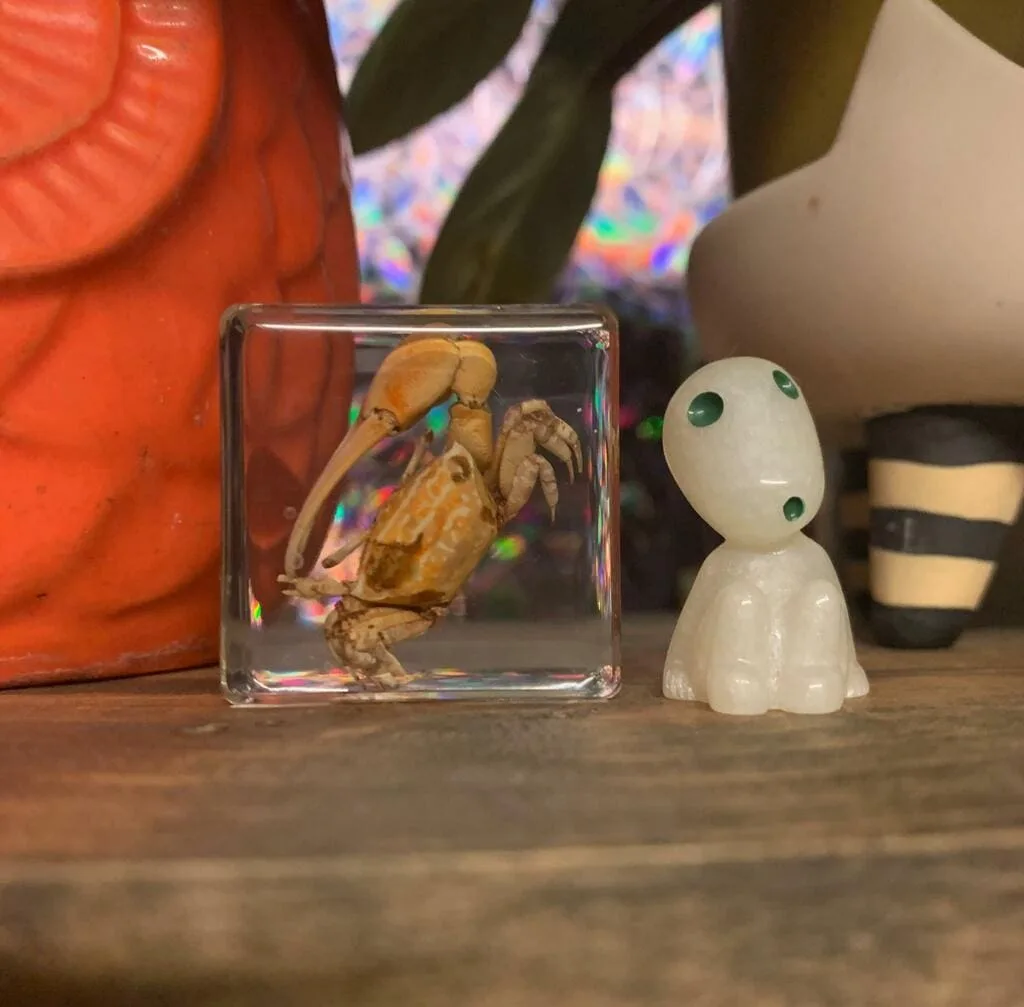 Image #1 from Lindsay W.