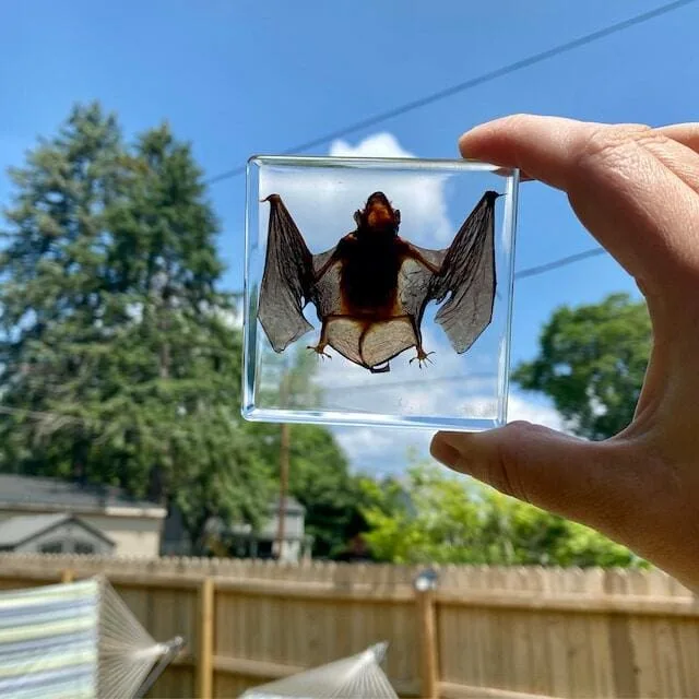 Image #1 from Whisper Glass Works