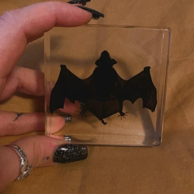 Image #1 from Rebecca