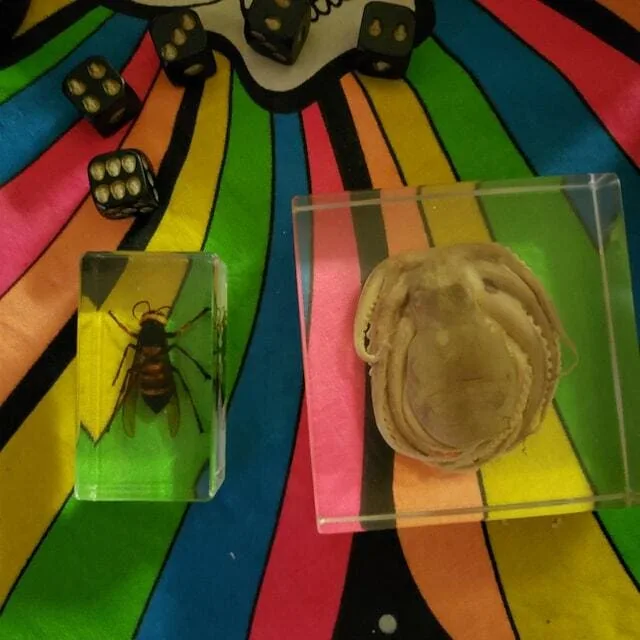 Image #1 from Terrance Boucher