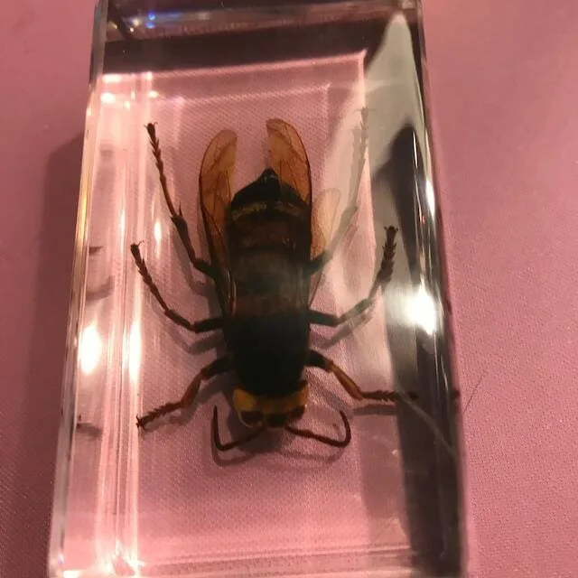 Image #1 from Linda Matuskey