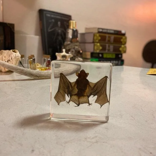 Image #1 from Bri Tamayo