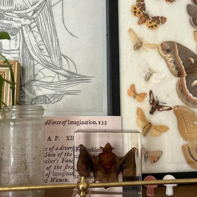 Image #1 from Julia Jones