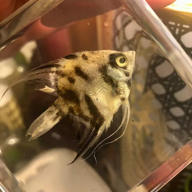 Image #1 from Kathryn Kolbe