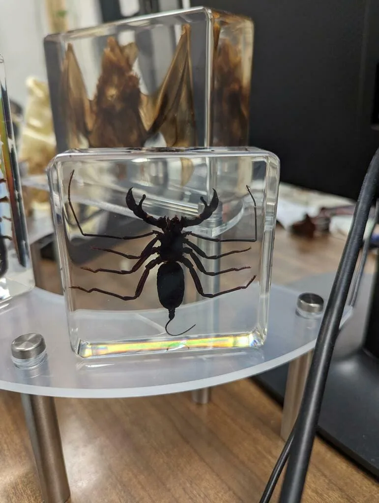 Image #2 from Bryan Ramos