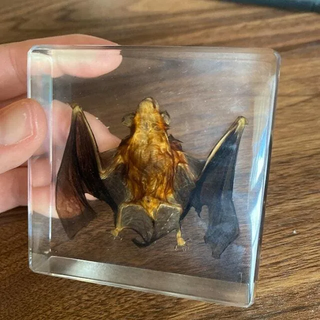 Image #1 from Caitlyn Matiatos