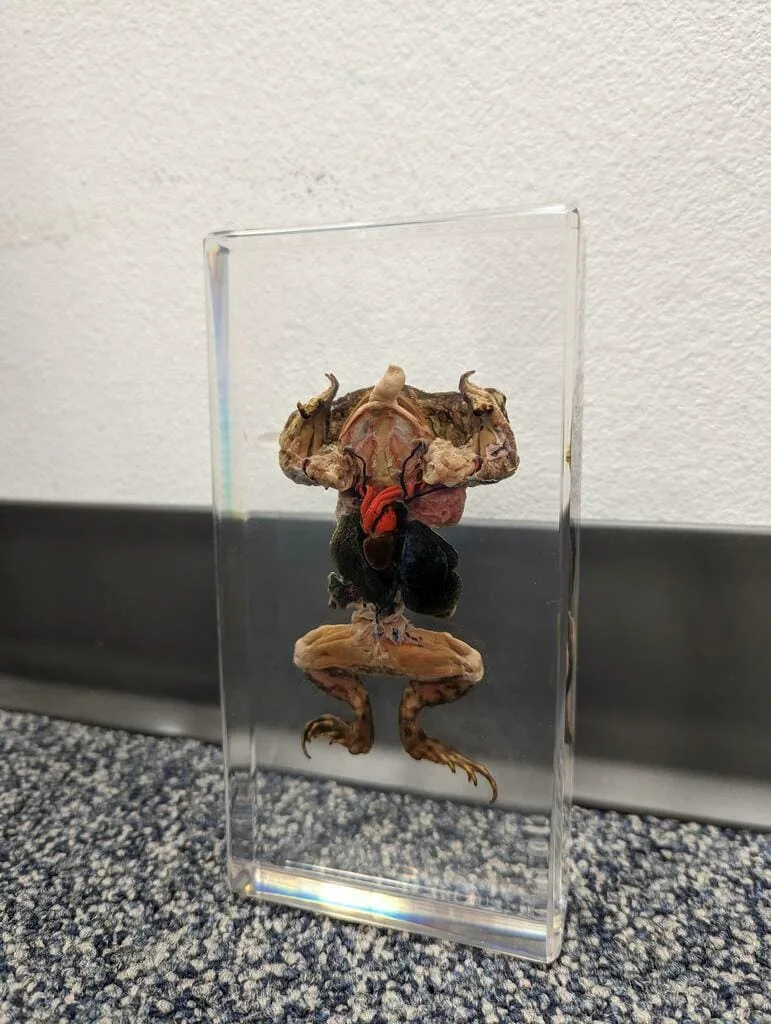 Image #1 from Bryan Ramos