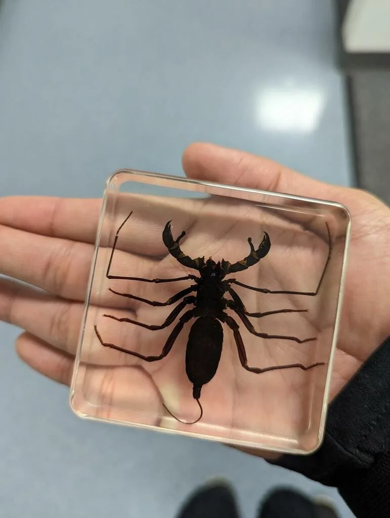 Image #1 from Bryan Ramos