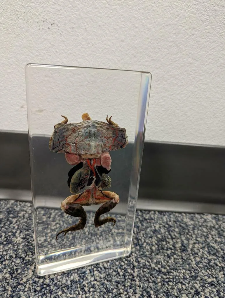 Image #3 from Bryan Ramos