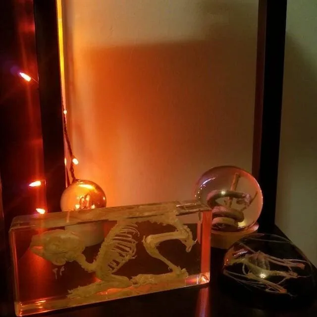 Image #1 from WaveOfMutilation14