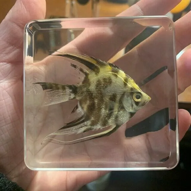 Image #1 from quartrstitch