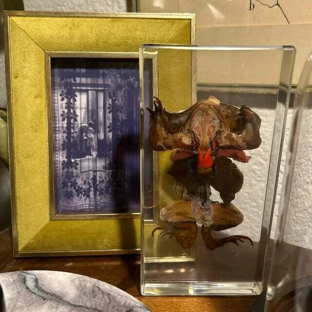 Image #1 from Julia Jones