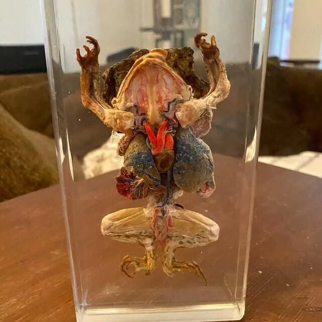 Image #1 from Jillian Mahaffey