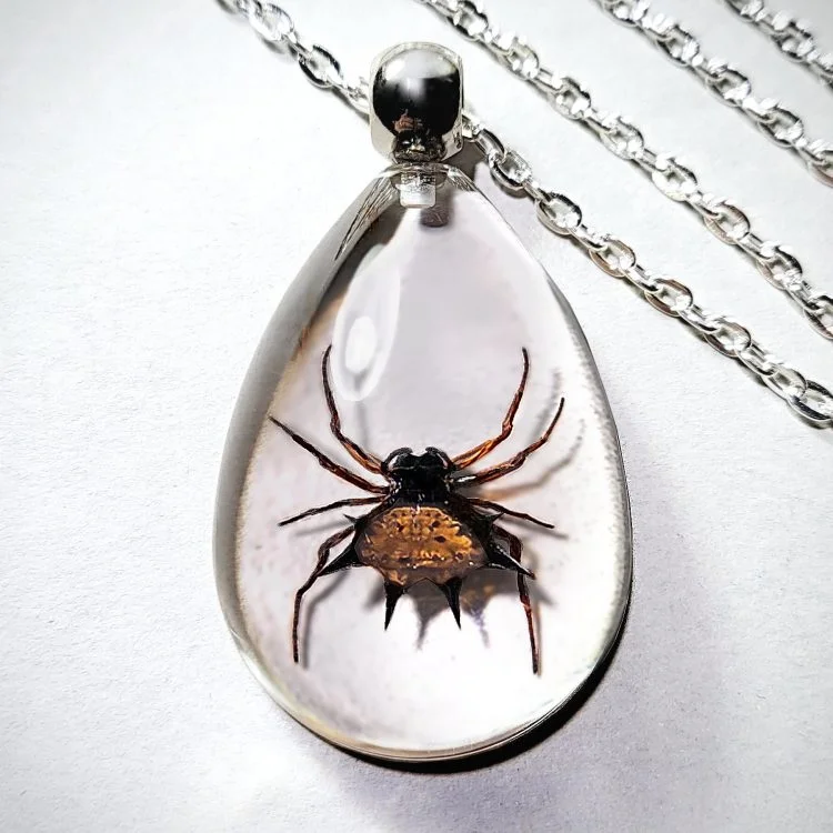 Real Insect Jewelry, Real Spider Necklace, Gothic Jewelry, Spiny Spider