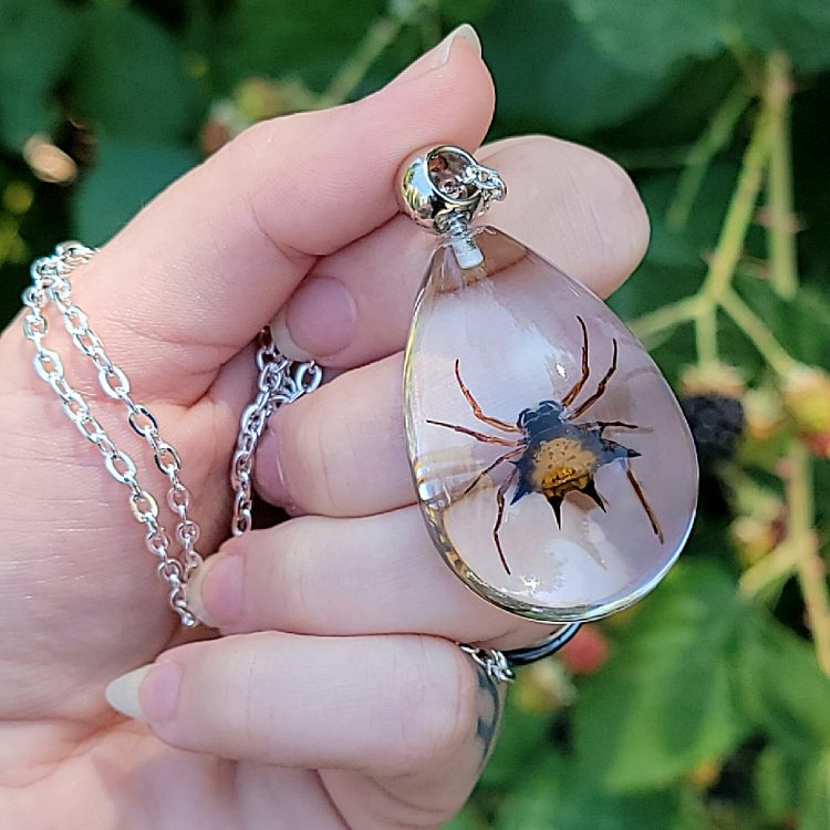 Real Insect Jewelry, Real Spider Necklace, Gothic Jewelry, Spiny Spider