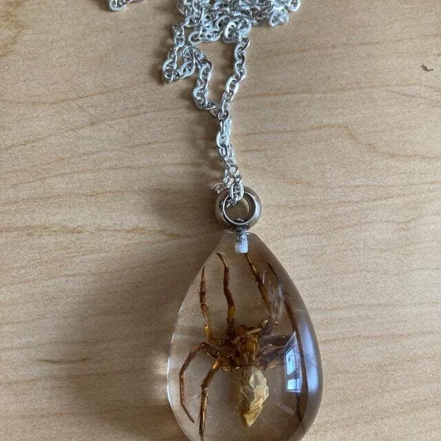 Image #1 from Ella Markianos