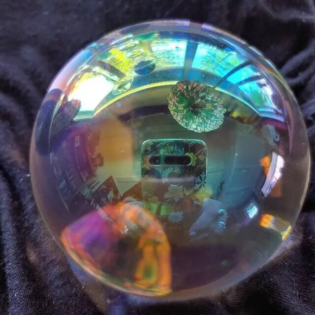 Image #1 from Jill Caravelli