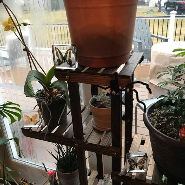 Image #1 from LCeccacci