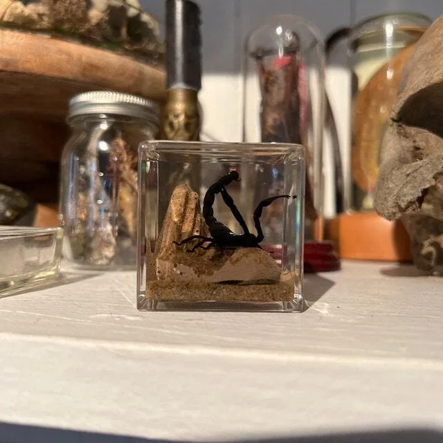 Image #1 from Cass Knox