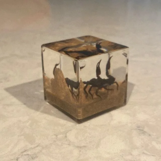 Image #1 from Aubrey