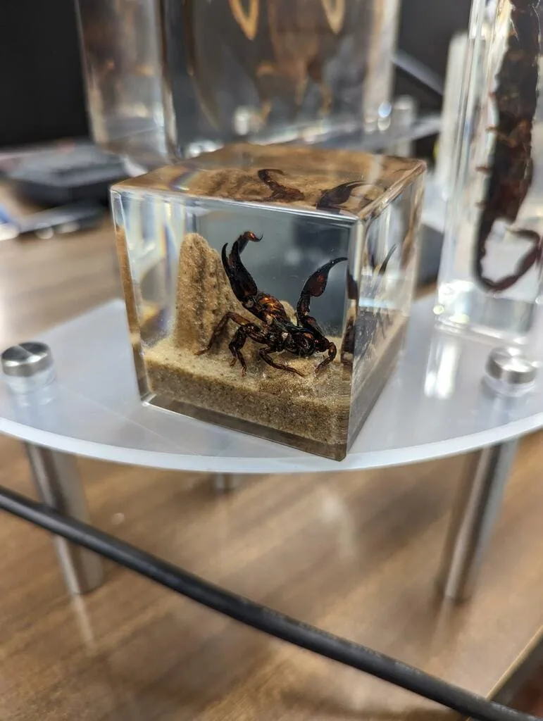 Image #1 from Bryan Ramos