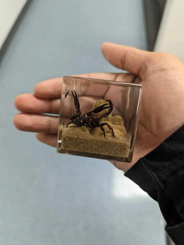 Image #2 from Bryan Ramos