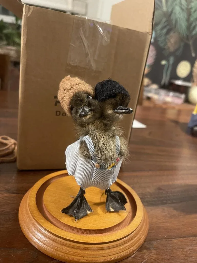 Image #1 from Mike Jacobsen