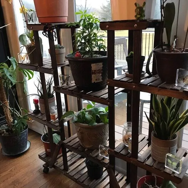 Image #1 from LCeccacci