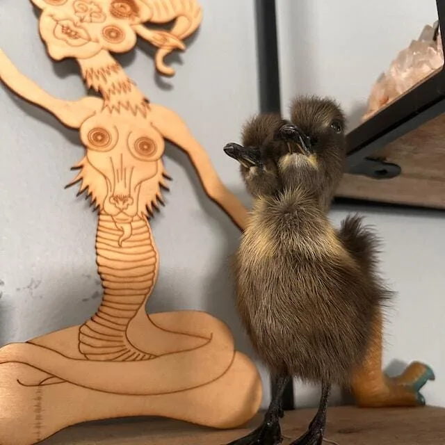 Image #1 from tankgirl9000