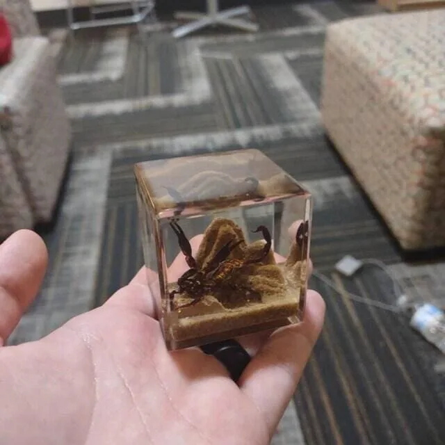 Image #1 from Finnigan Kitchen