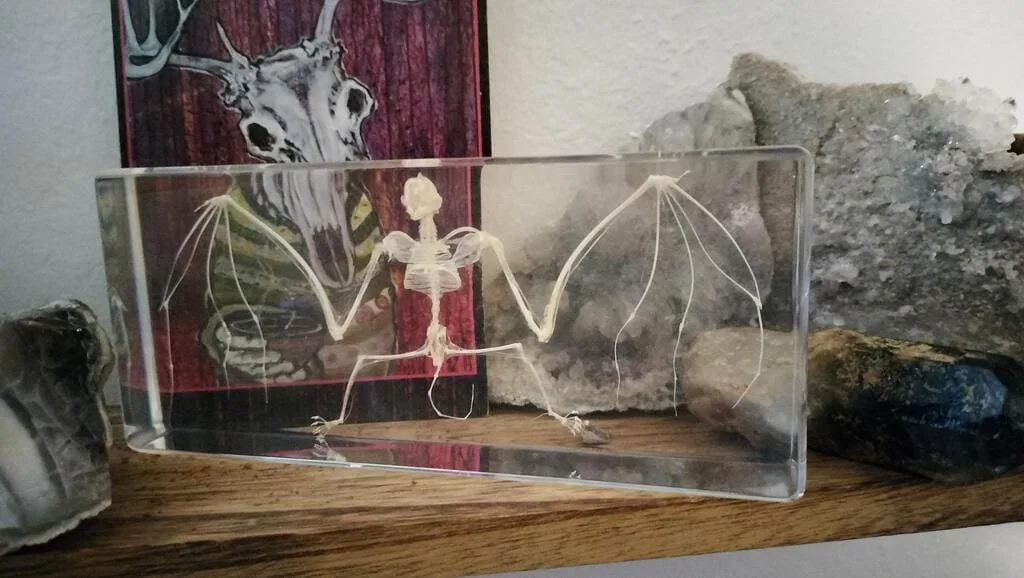 Image #1 from Lindsey