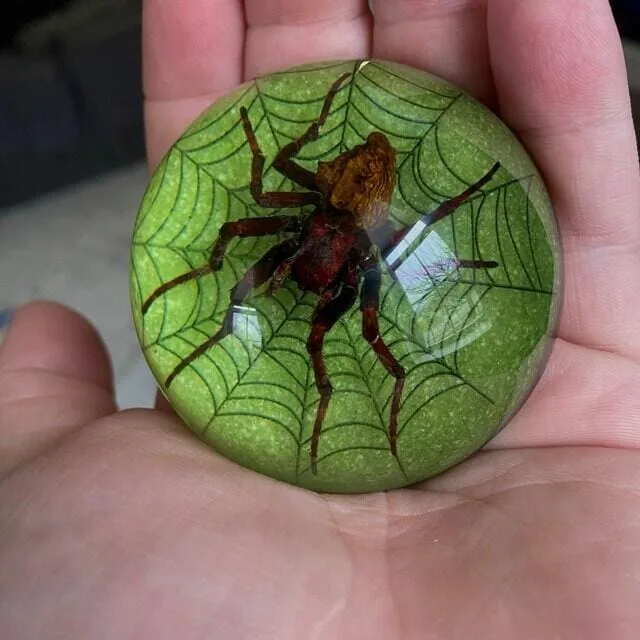 Image #1 from phoenixharmon17