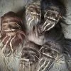 Real shrunken head for sale, Leather, Tsantsa, Oddity Decor, Tikki Decor
