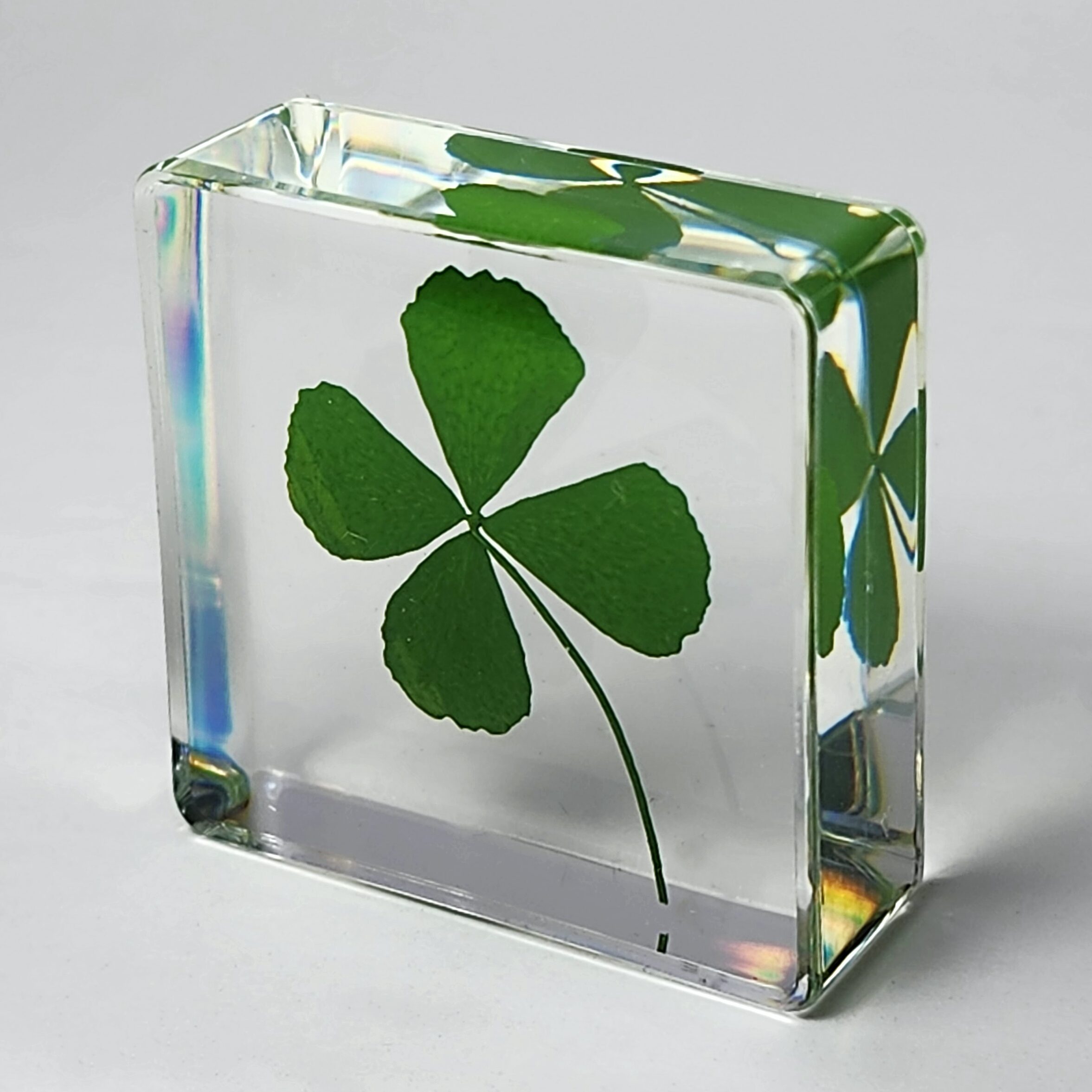 Clover Trifoglio - Ferri Da Maglia Amyure Gara N.10 (41-410) - Per Principianti E Lavori Delicati