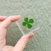 Real four leaf clover, Luck charm, Lucky gifts, Clover in resin