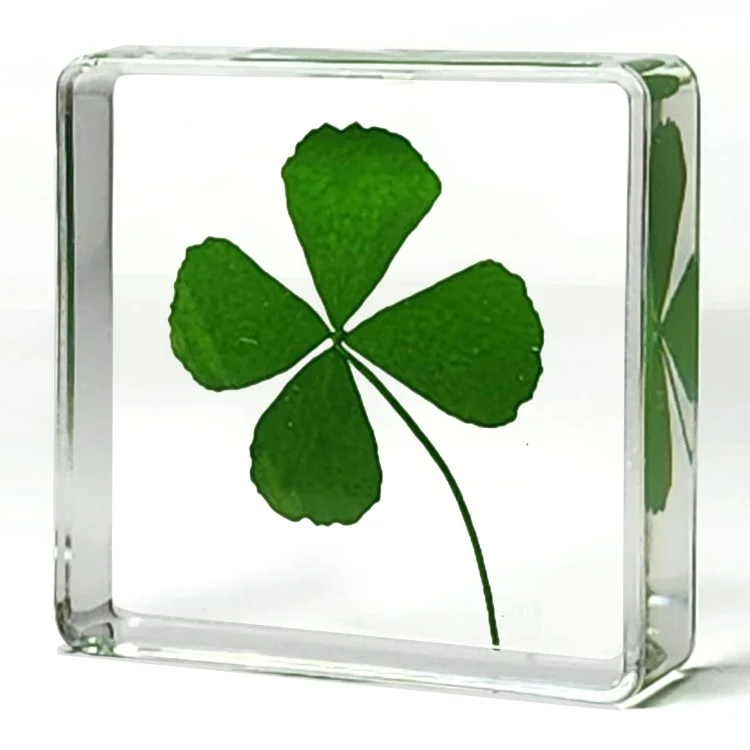 Real four leaf clover, Luck charm, Lucky gifts, Clover in resin