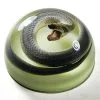 Real Preserved Snake, Glow in the dark snake paperweight, Real Snake Specimen, Glow Dome